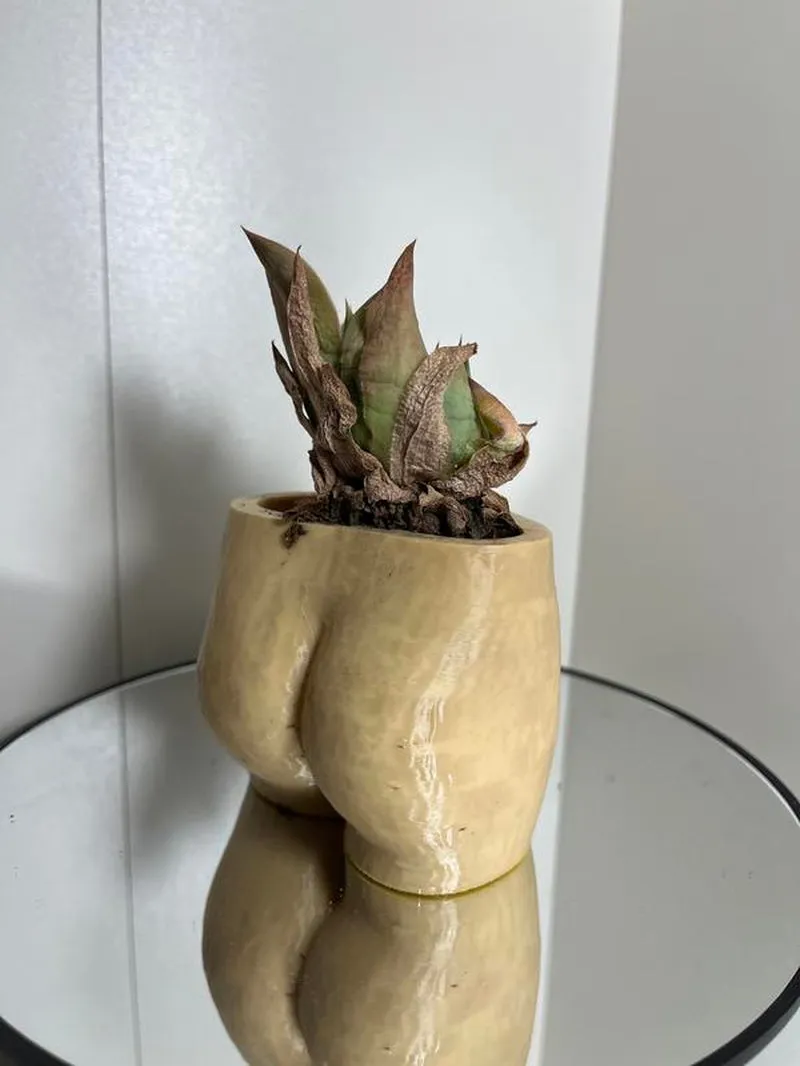 Cheeky Chic Planter