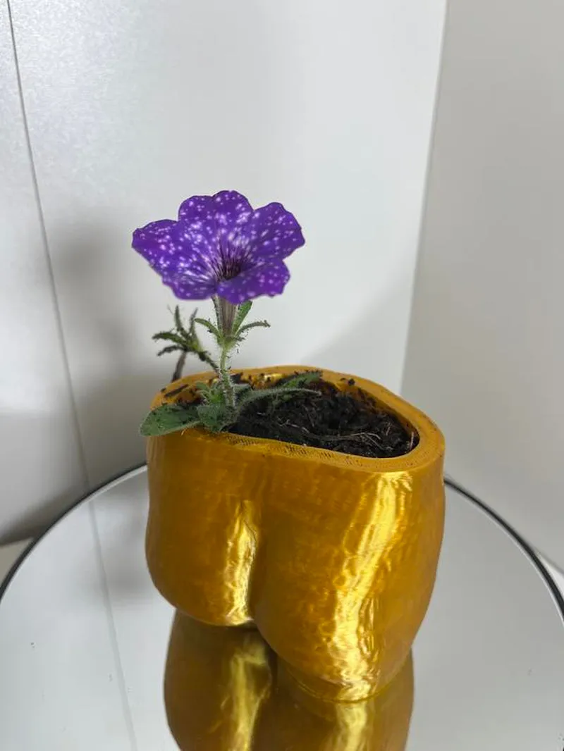 Cheeky Chic Planter