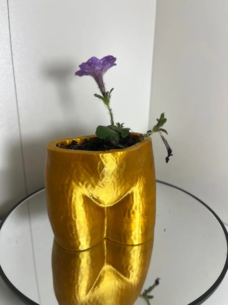 Cheeky Chic Planter