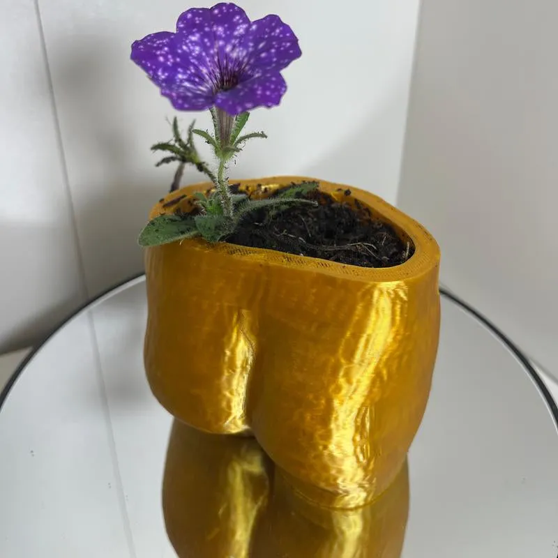 Cheeky Chic Planter
