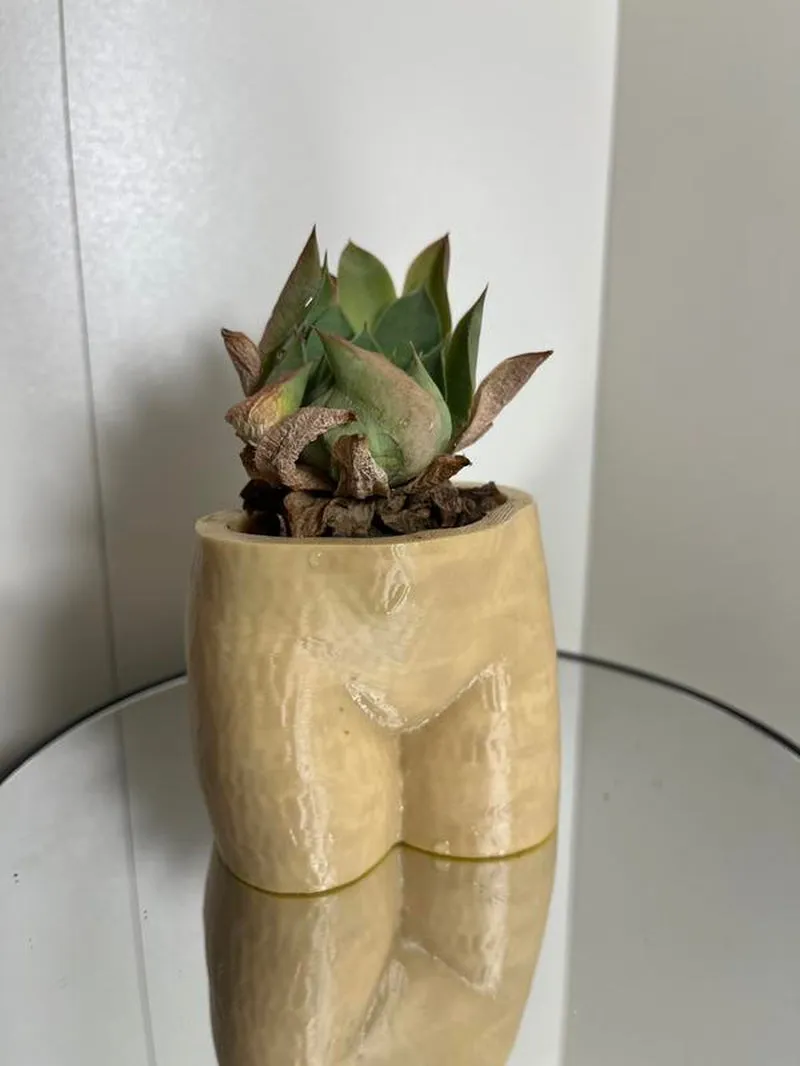 Cheeky Chic Planter