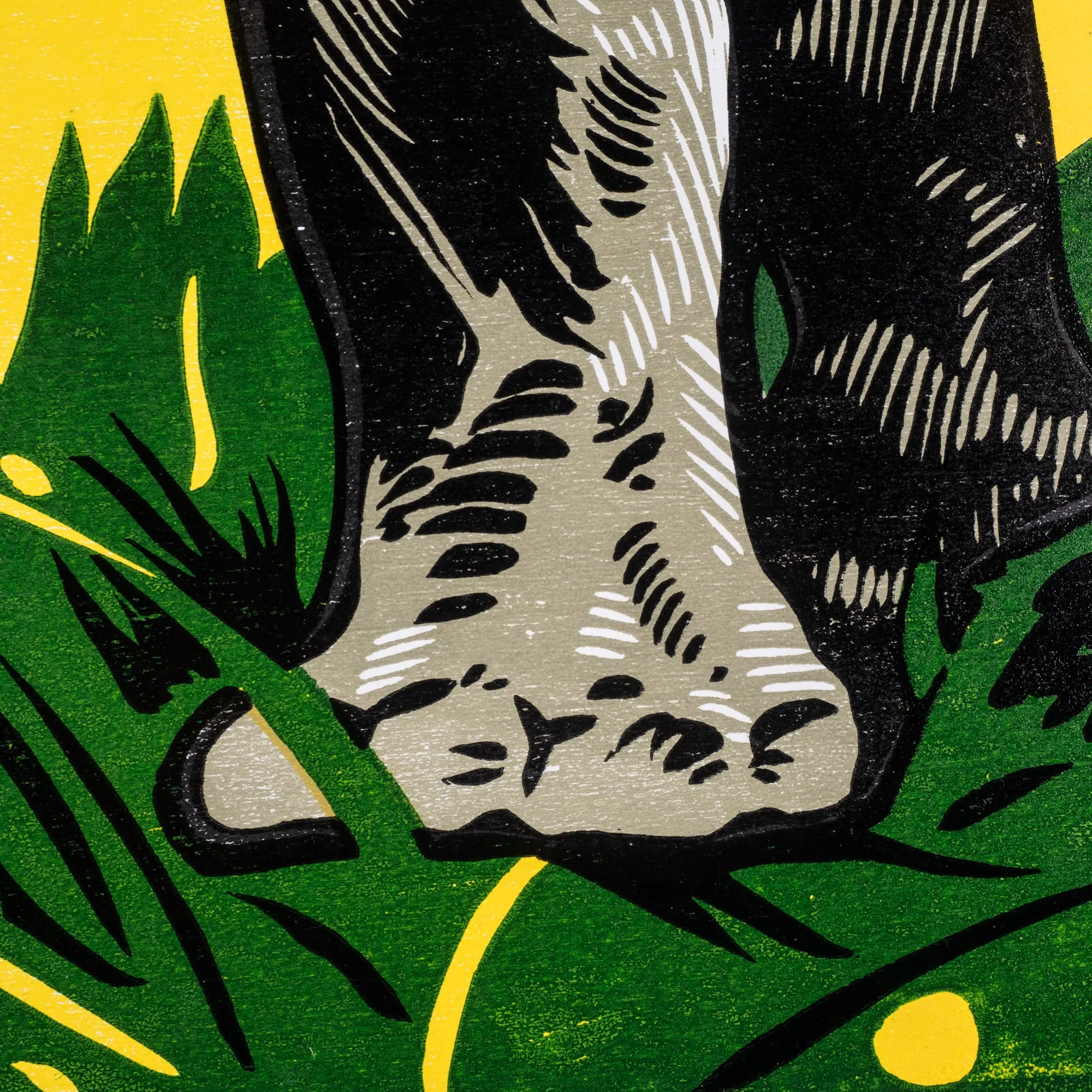 Historic Restrike: Rhinoceros