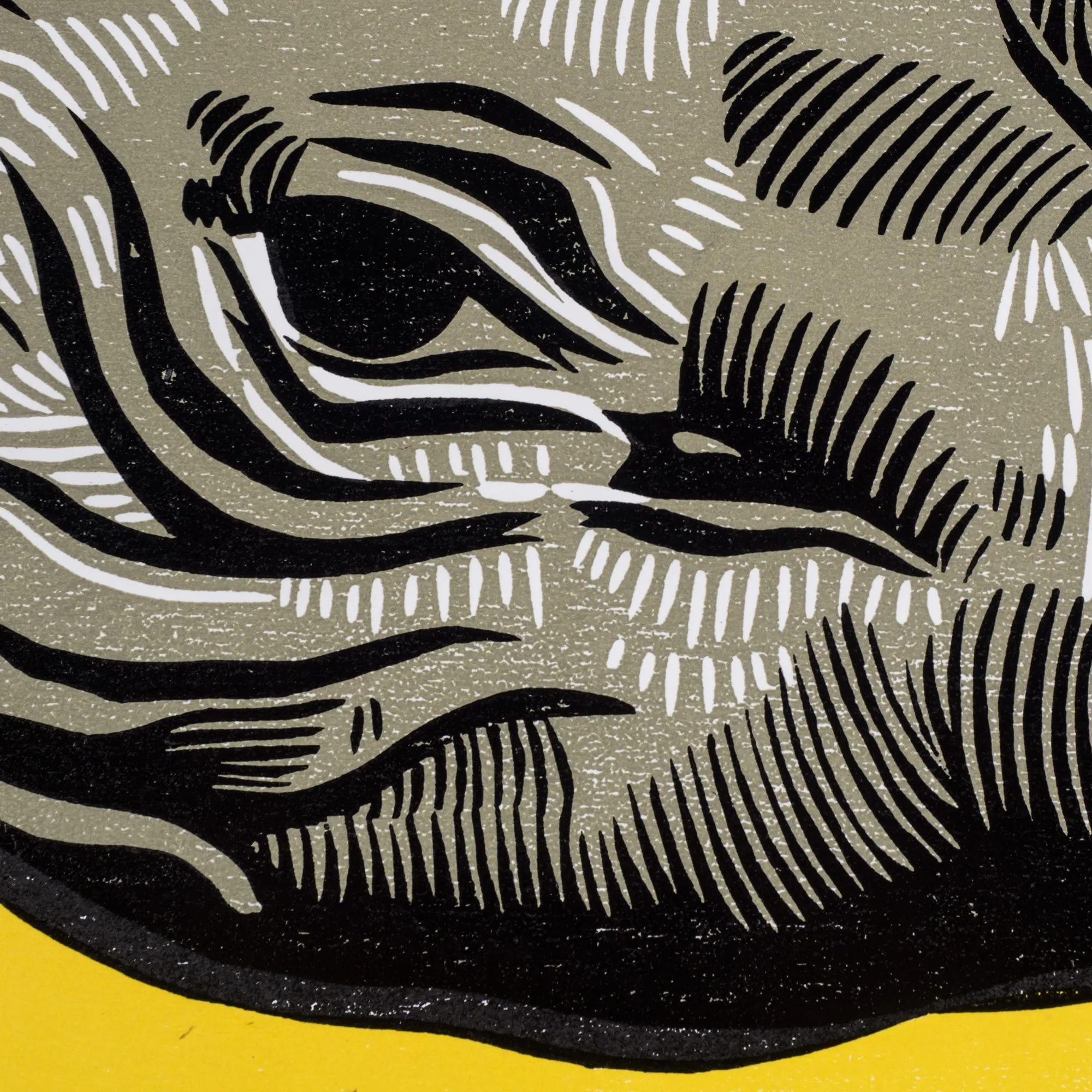 Historic Restrike: Rhinoceros