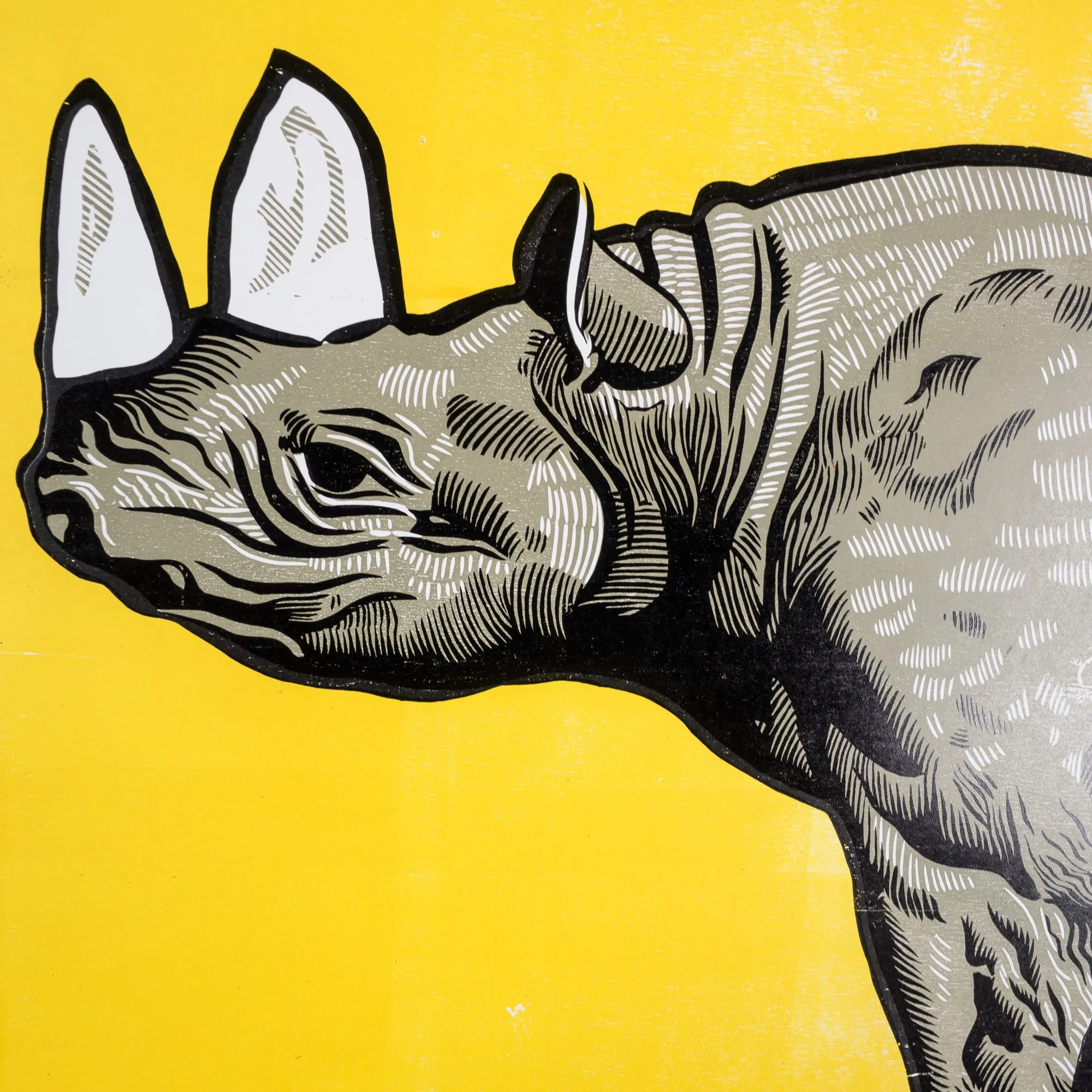Historic Restrike: Rhinoceros