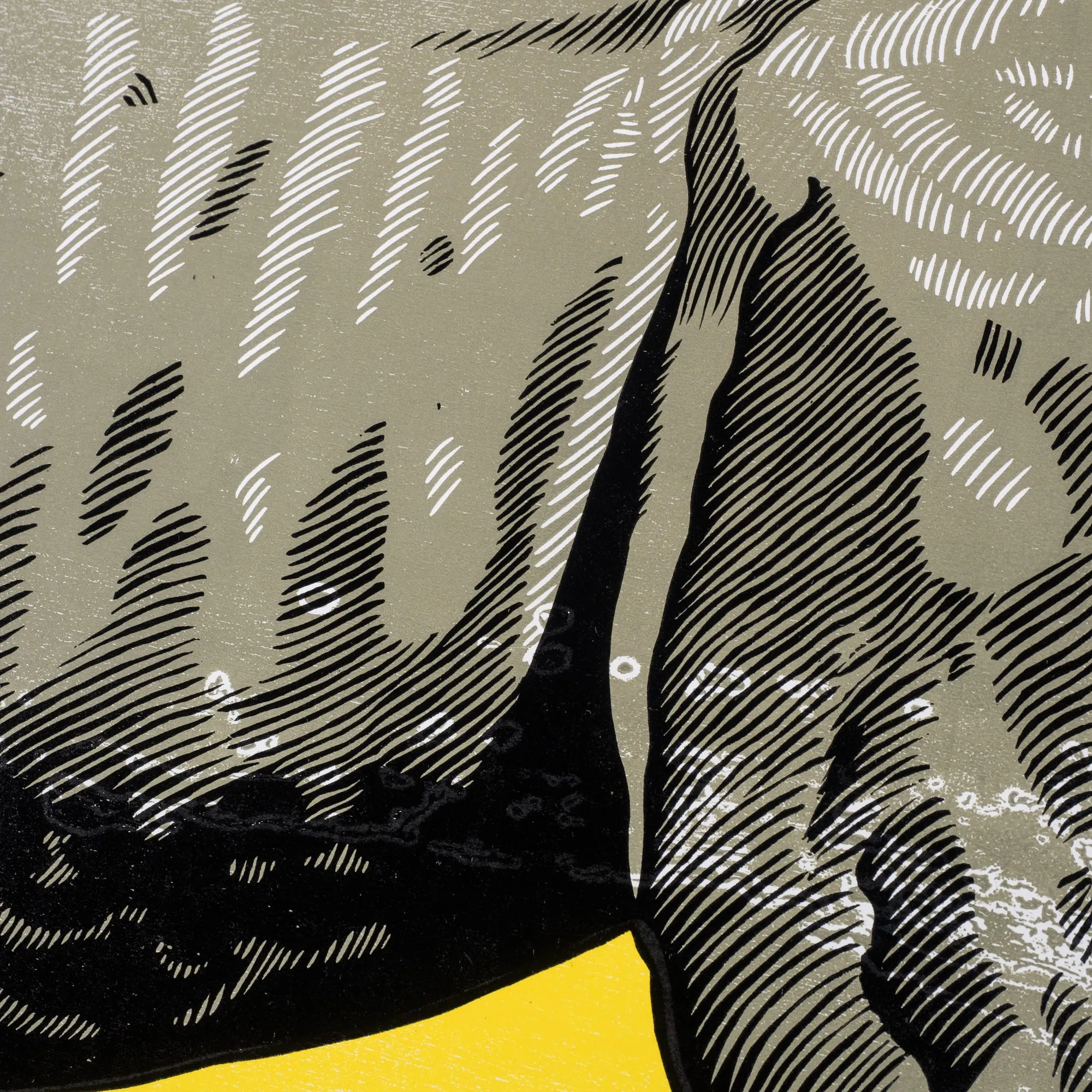 Historic Restrike: Rhinoceros