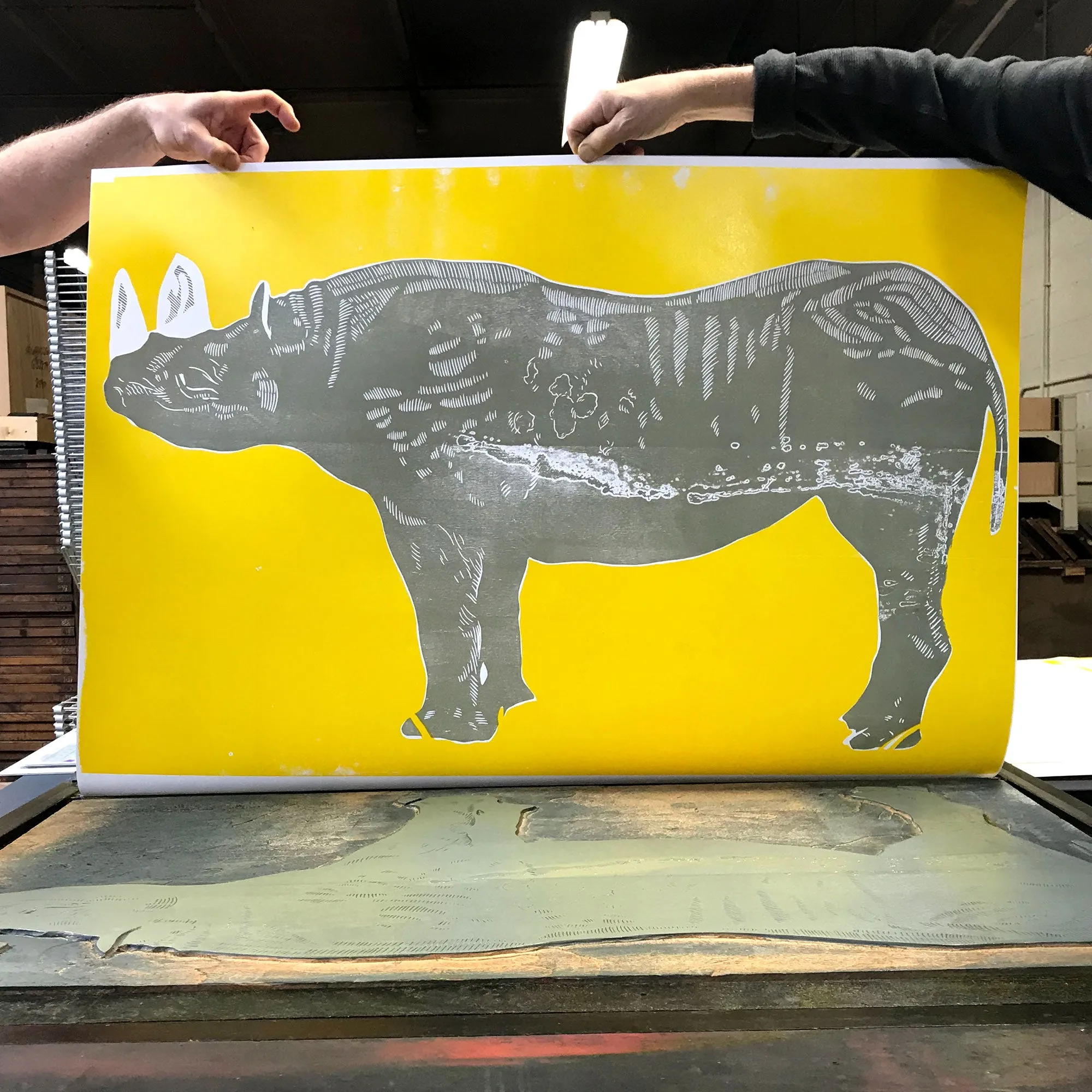 Historic Restrike: Rhinoceros