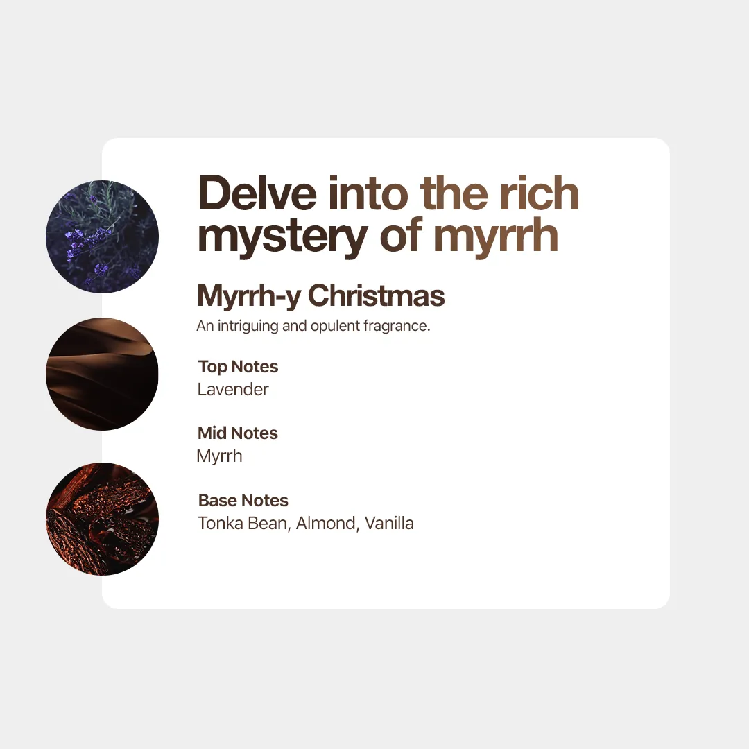 Ltd Edtn Christmas Discovery Samples