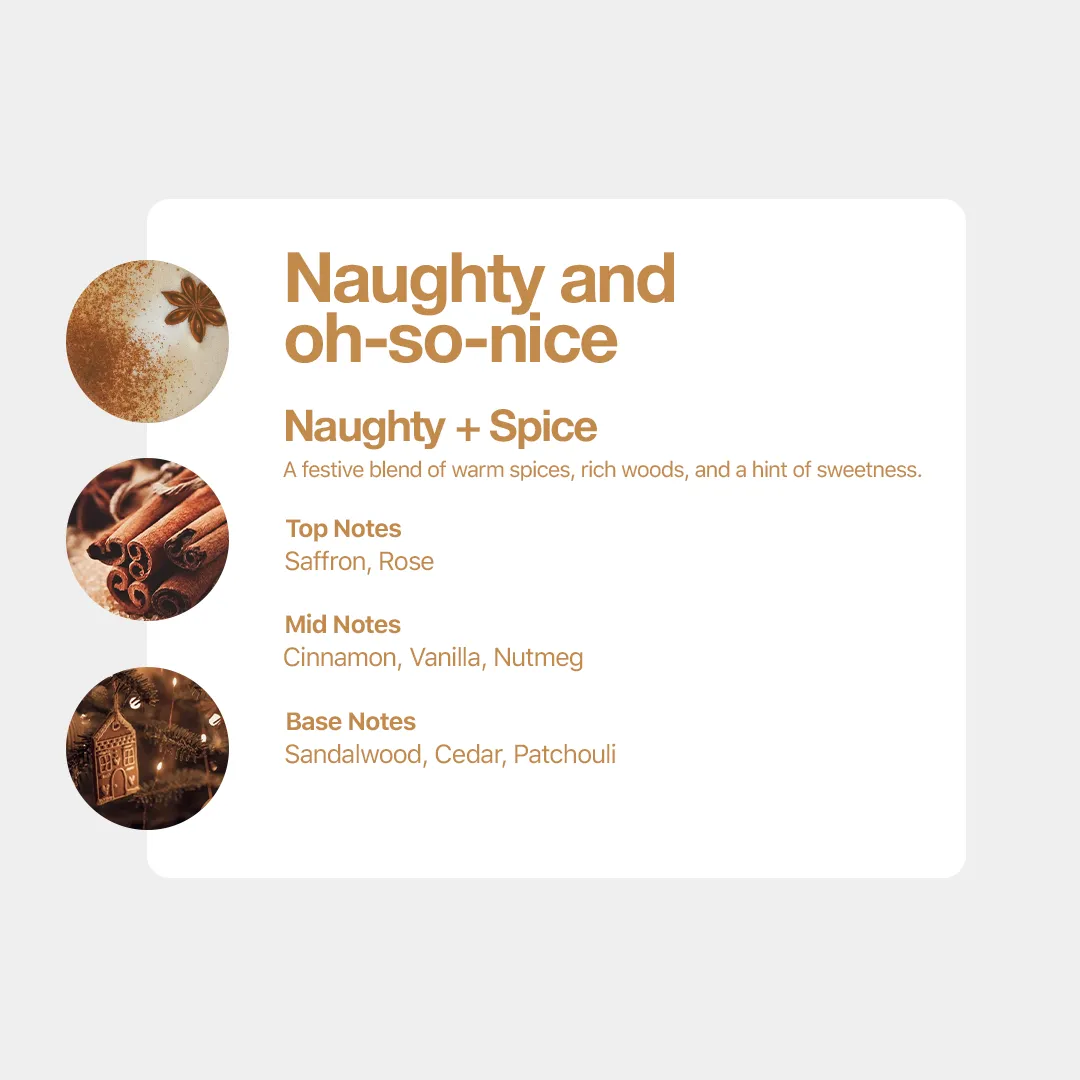 Ltd Edtn Christmas Discovery Samples