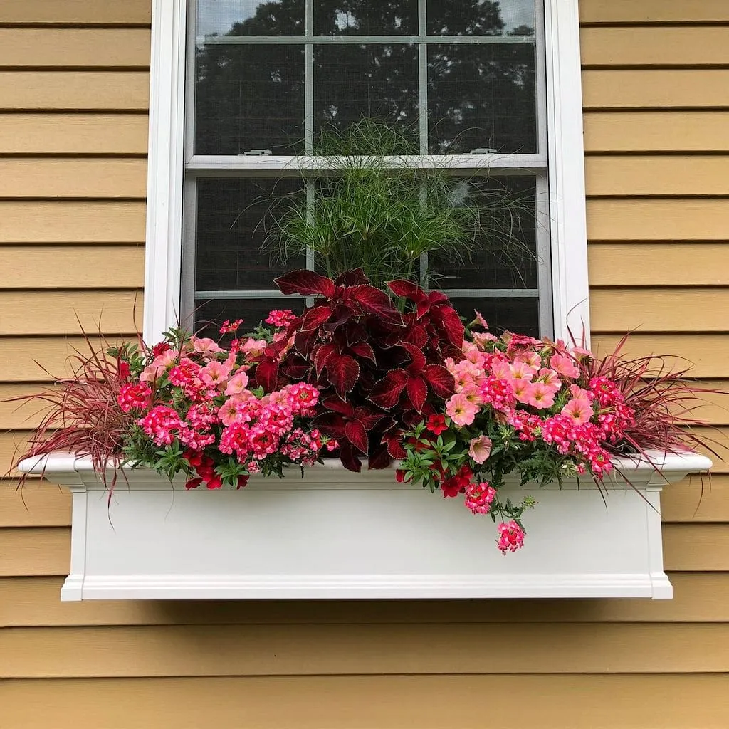 Mayne Yorkshire 4ft Window Box